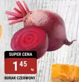 bi1 Burak czerwony oferta