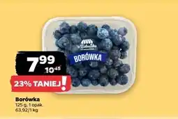 Netto Borówka amerykańska z Zieleniaka oferta