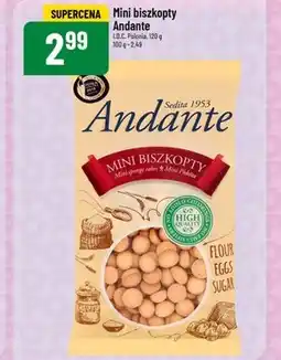 Polomarket Biszkopty Andante oferta