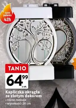 Intermarche Znicz Kerti oferta