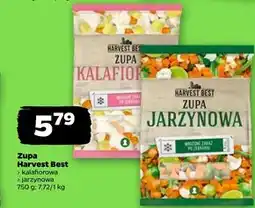 Netto Zupa Harvest Best oferta