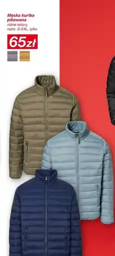 KiK Kurtka męska oferta