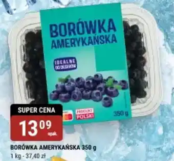 bi1 Borówka amerykańska oferta