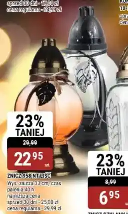 bi1 Znicz 958 nt liść oferta