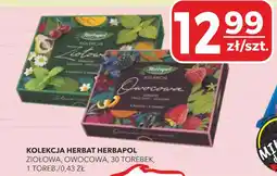 Top Market Kolekcja herbat herbapol oferta