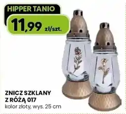 Hipper.pl Znicz szklany z różą 017 oferta