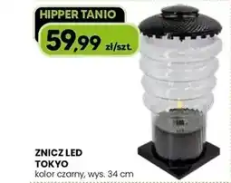 Hipper.pl Znicz led tokyo oferta