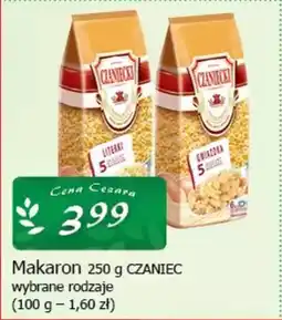 Cezar Delikatesy Makaron czaniec oferta