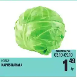 TomiMarkt Kapusta biała oferta