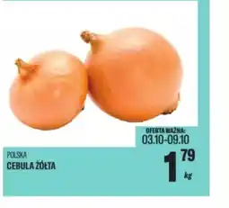 TomiMarkt Cebula żółta oferta