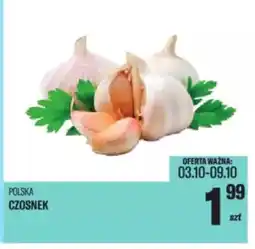 TomiMarkt Polska czosnek oferta