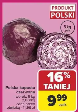 Carrefour Market Kapusta czerwona 5 kg Carrefour Market oferta
