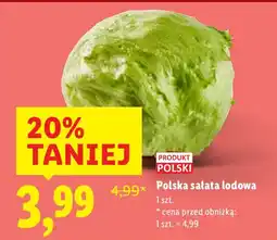 Lidl Sałata lodowa 1 szt. Lidl oferta