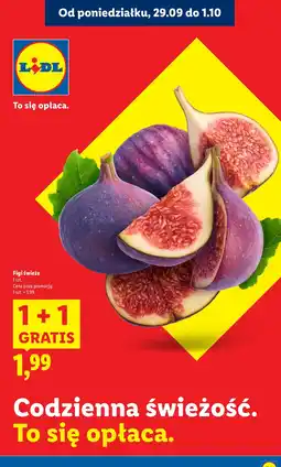 Lidl Figi świeże 1 szt. Lidl oferta