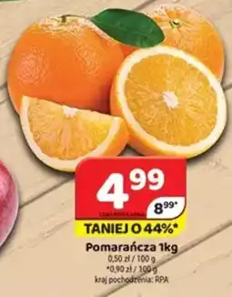 Delfin Pomarańcza oferta