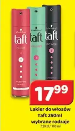 Delfin Lakier do włosów Taft oferta