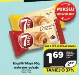 Delfin Rogalik 7days oferta