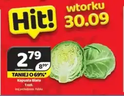 Delfin Kapusta biała oferta