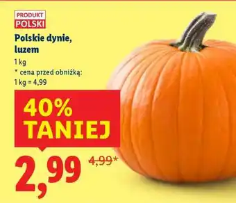 Lidl Polskie dynie, luzem oferta