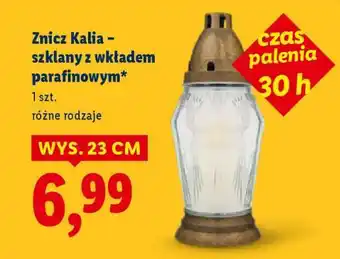 Lidl Znicz Kalia oferta