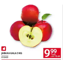 Selgros Jabłka gala oferta