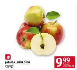 Selgros Jabłka ligol oferta