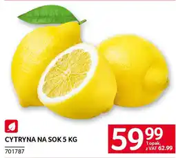 Selgros Cytryna na sok oferta