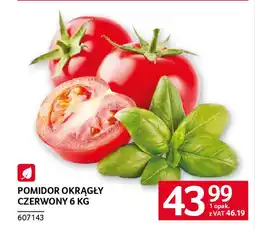 Selgros Pomidor okrągły czerwony oferta