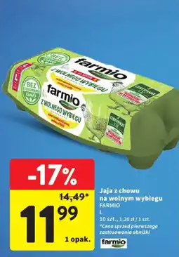 Intermarche Jaja z chowu na wolnym wybiegu FARMIO oferta