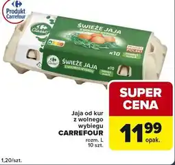 Globi Jaja od kur z wolnego wybiegu Carrefour 10 szt oferta