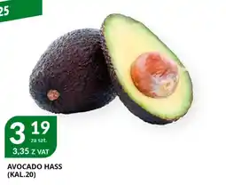 Eurocash Cash & Carry Avocado hass oferta