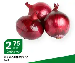 Eurocash Cash & Carry Cebula czerwona luz oferta