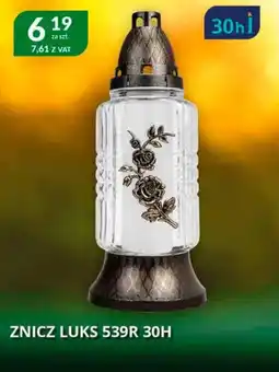 Eurocash Cash & Carry Znicz luks 539r 30h oferta