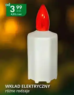 Eurocash Cash & Carry Wkład elektryczny oferta
