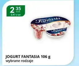 Eurocash Cash & Carry Jogurt fantasia oferta