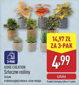 ALDI HOME CREATION Sztuczne rośliny oferta