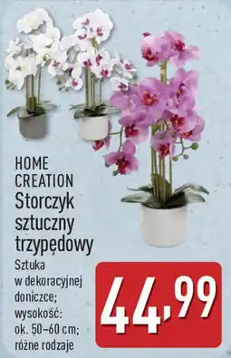 ALDI HOME CREATION Storczyk sztuczny trzypędowy oferta