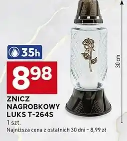 Stokrotka Optima Znicz Luks oferta