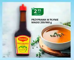 Eurocash Cash & Carry Przyprawa w płynie maggi oferta