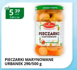 Eurocash Cash & Carry Pieczarki marynowane urbanek oferta