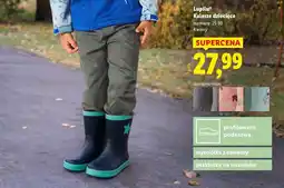 Lidl Lupilu Kalosze dziecięce oferta