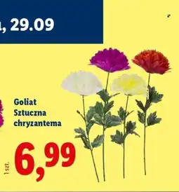 Lidl Goliat Sztuczna chryzantema oferta