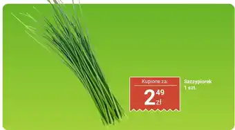 Biedronka Szczypiorek 1 szt. Biedronka oferta