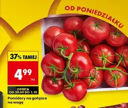 Biedronka Pomidor na gałązce na wagę Biedronka oferta