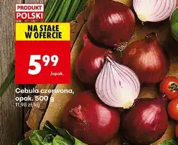 Biedronka Cebula czerwona, opak. 500 g Biedronka oferta