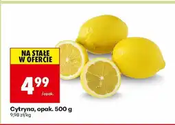 Biedronka Cytryna, opak. 500 g Biedronka oferta