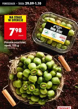 Biedronka Mini kiwi polskie 125g Biedronka oferta