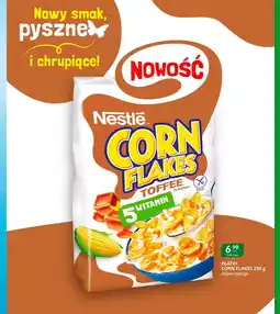 Eurocash Cash & Carry Płatki corn flakes oferta