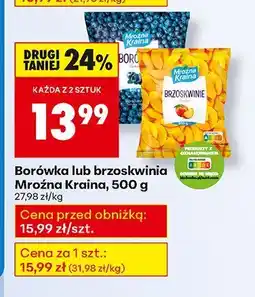 Biedronka Borówka mrożona Mroźna Kraina oferta