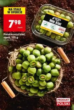 Biedronka Polskie mini kiwi opak . 125 g oferta